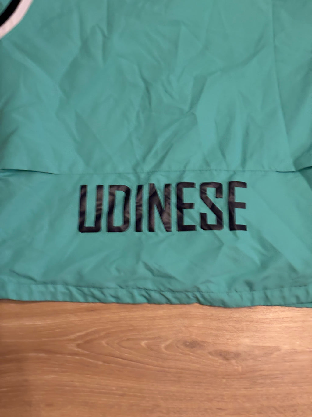 Udinese Training Jacket