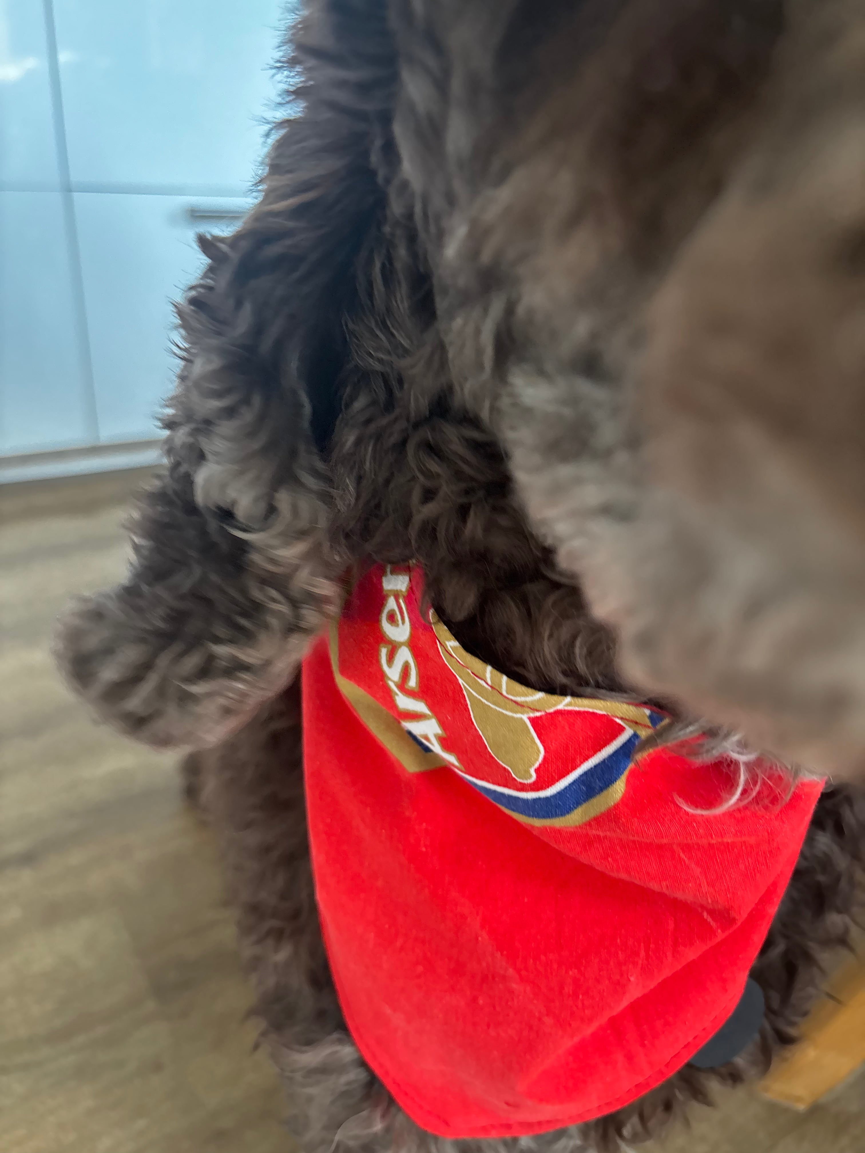 Handmade Arsenal dog bandana.