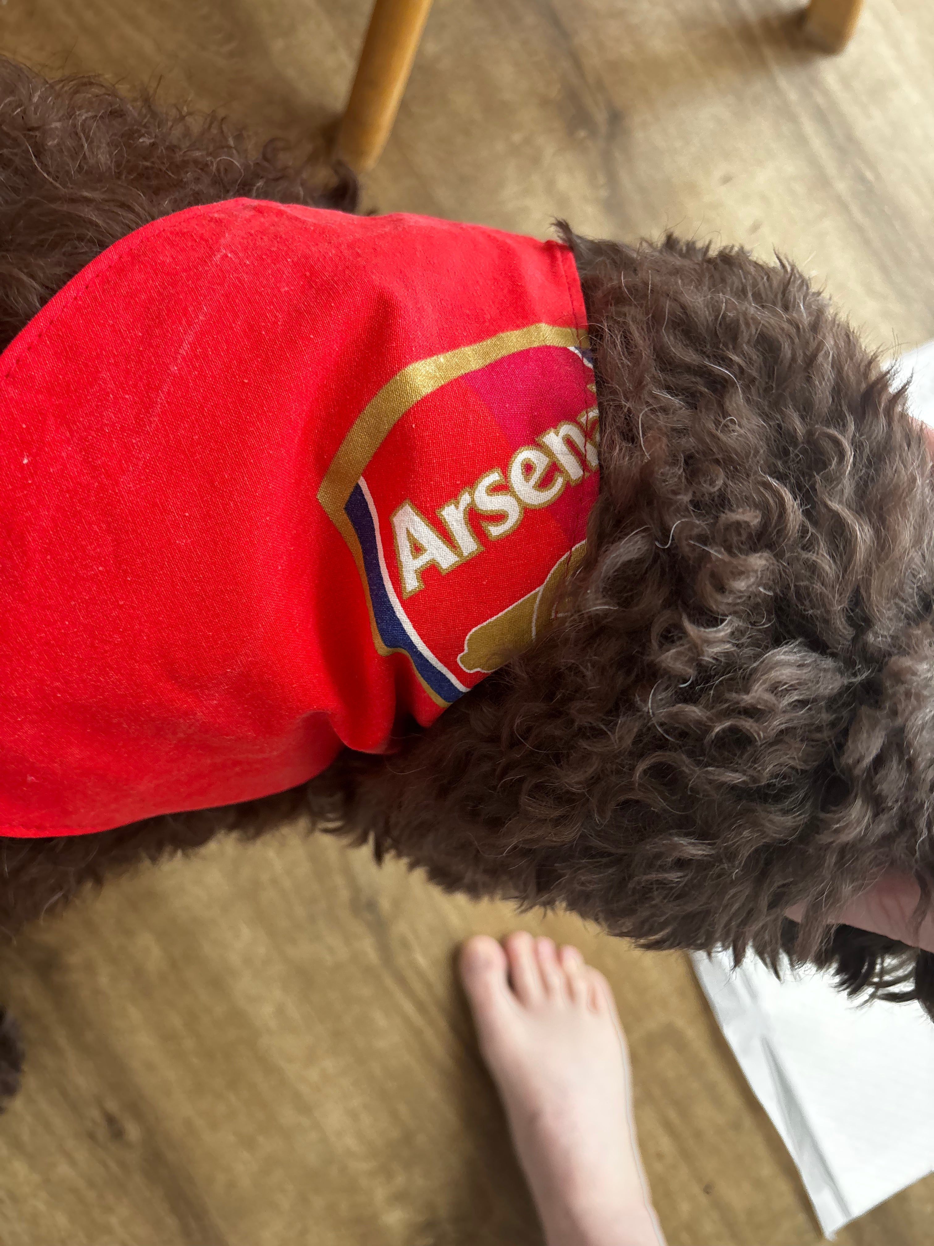 Handmade Arsenal dog bandana.